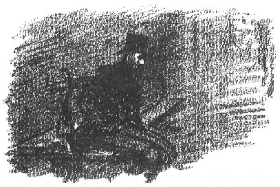 Dessin de Stenlein